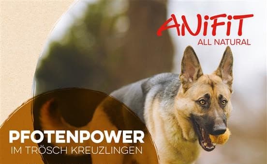 Anifit – Infoveranstaltung