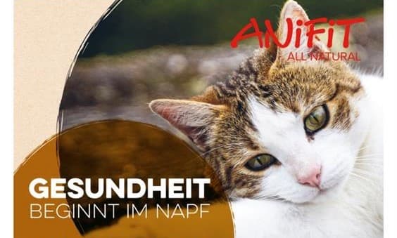 Anifit – Infoveranstaltung