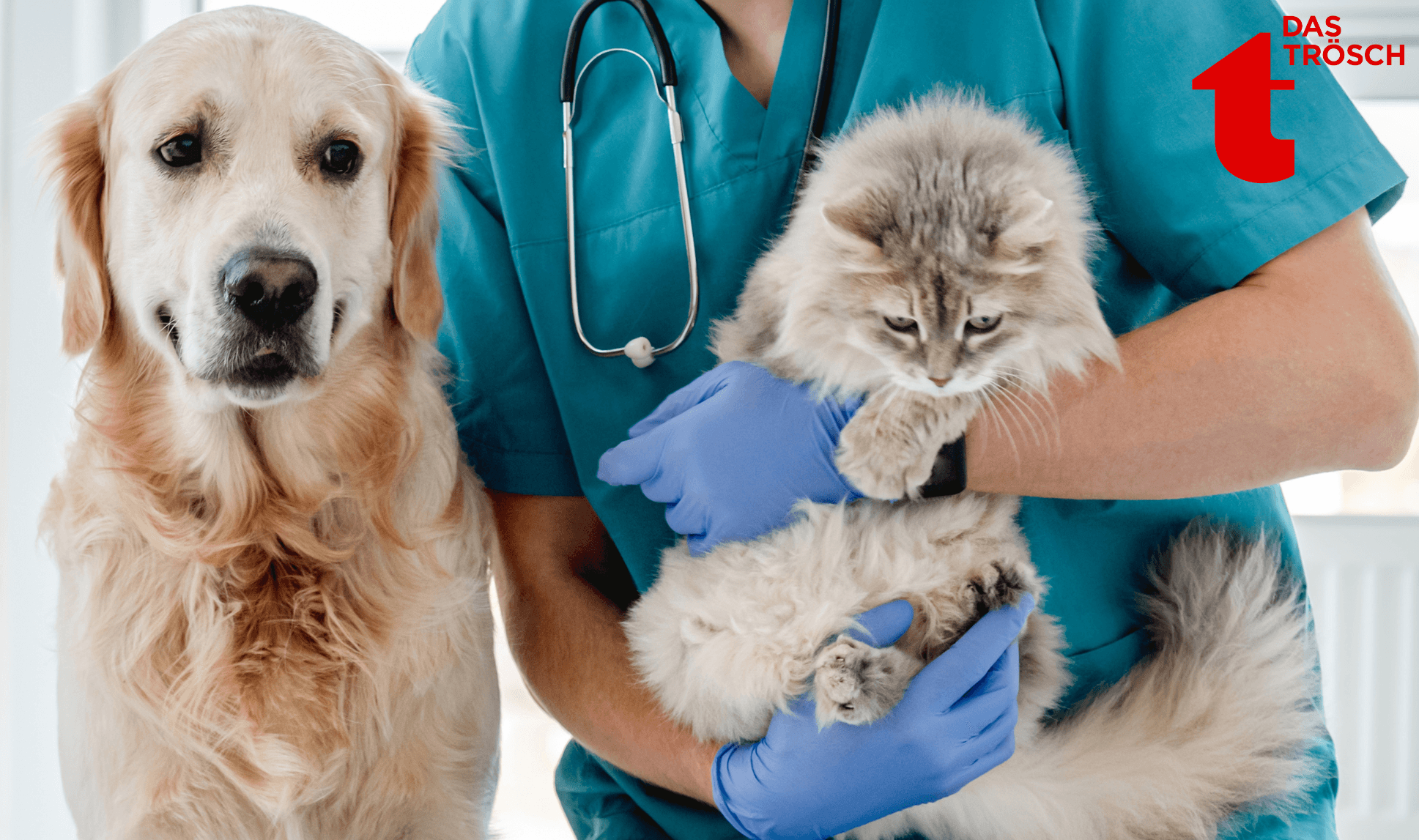 Naturheilkunde bei Hunden & Katzen – Vortrag